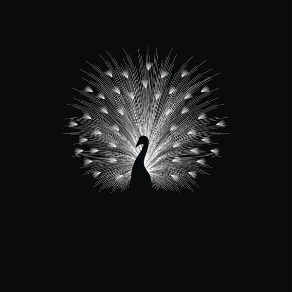 Cover art for 23